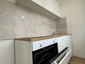 Pronájem bytu 1+kk, Most, K. H. Borovského, 26 m2