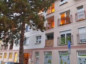 Pronájem bytu 1+kk, Olomouc, Dolní hejčínská, 42 m2