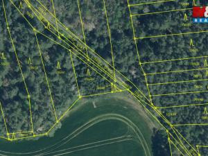 Prodej lesa, Koloveč, 13001 m2