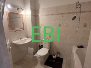 Pronájem bytu 4+1, Praha - Nové Město, Masarykovo nábřeží, 103 m2