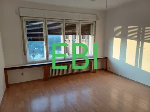 Pronájem bytu 4+1, Praha - Nové Město, Masarykovo nábřeží, 103 m2