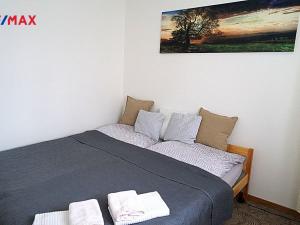 Pronájem bytu 2+kk, Hradec Králové - Nový Hradec Králové, Pod Zámečkem, 50 m2