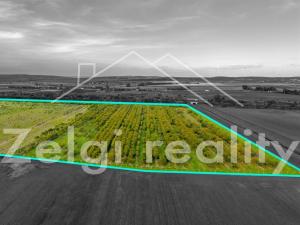 Prodej sadu/vinice, Rakvice, 210277 m2