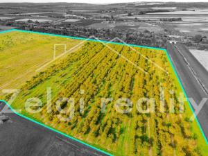 Prodej sadu/vinice, Rakvice, 210277 m2