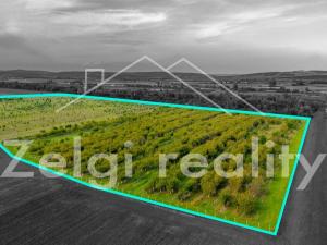 Prodej sadu/vinice, Rakvice, 210277 m2