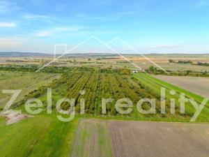 Prodej sadu/vinice, Rakvice, 210277 m2