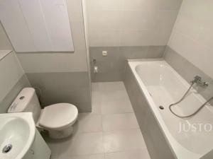 Pronájem bytu 2+1, Teplice, Alejní, 50 m2