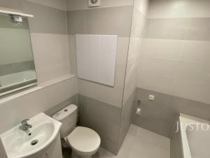 Pronájem bytu 2+1, Teplice, Alejní, 50 m2