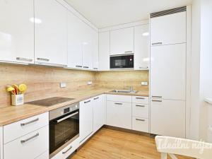 Pronájem bytu 2+1, Brno, Palackého třída, 60 m2