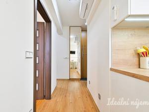 Pronájem bytu 2+1, Brno, Palackého třída, 60 m2