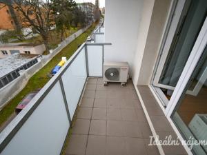 Pronájem bytu 2+1, Brno, Palackého třída, 60 m2