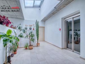 Pronájem bytu 1+kk, Hranice, Jiráskova, 20 m2