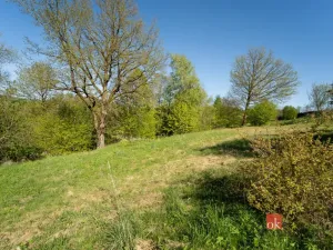 Prodej zahrady, Rybník, 1928 m2