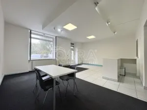 Pronájem obchodního prostoru, Praha, Zborovská, 128 m2