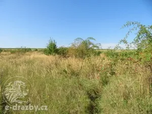 Dražba zahrady, Grunta, 689 m2