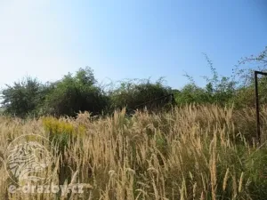 Dražba zahrady, Grunta, 927 m2