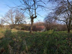 Prodej rodinného domu, Jaroměř - Starý Ples, 110 m2