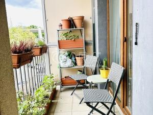 Pronájem bytu 2+kk, Plzeň - Východní Předměstí, U Ježíška, 59 m2