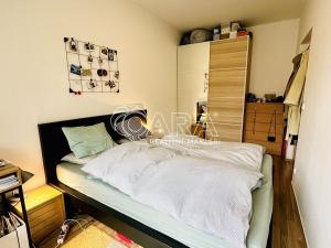 Pronájem bytu 2+kk, Plzeň - Východní Předměstí, U Ježíška, 59 m2