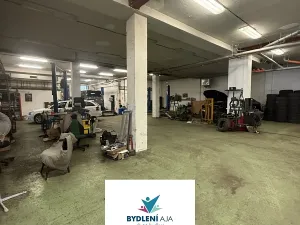 Prodej obchodního prostoru, Praha, Lodžská, 600 m2