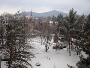 Prodej bytu 2+1, Šumperk, Čsl. armády, 54 m2