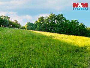 Prodej louky, Jílové u Prahy, 18692 m2