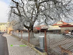 Prodej rodinného domu, Kynšperk nad Ohří, J. K. Tyla, 110 m2