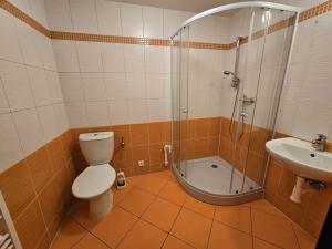 Prodej bytu 1+1, Jeseník, Slezská, 41 m2