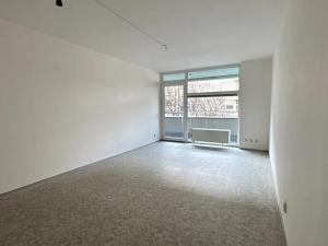 Pronájem bytu 2+1, Praha - Černý Most, Maňákova, 77 m2