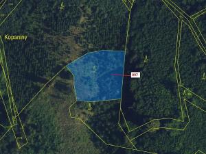 Dražba lesa, Lhota Rapotina, 1938 m2