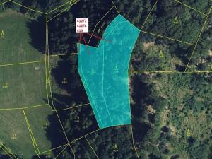 Dražba lesa, Vranová Lhota, 3744 m2