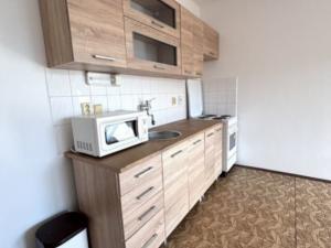 Prodej bytu 1+kk, Český Krumlov, Urbinská, 33 m2