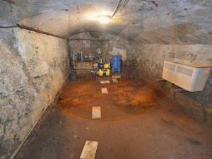 Prodej chaty, Pertoltice - Horní Pertoltice, 195 m2