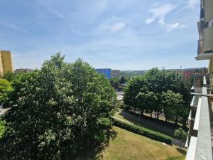 Pronájem bytu 1+kk, Brno, Okrouhlá, 28 m2