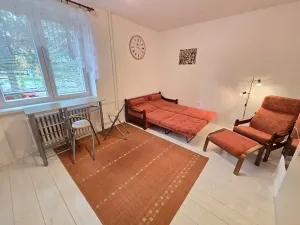Pronájem bytu 1+kk, Kopřivnice, Družební, 25 m2