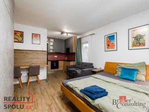 Prodej bytu 2+kk, Plzeň, 56 m2