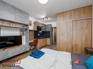 Prodej bytu 2+kk, Plzeň, 56 m2