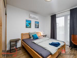 Prodej bytu 2+kk, Plzeň, 56 m2