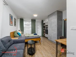 Prodej bytu 2+kk, Plzeň - Východní Předměstí, Kartónová, 56 m2