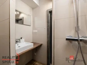 Prodej bytu 2+kk, Plzeň - Východní Předměstí, Kartónová, 56 m2