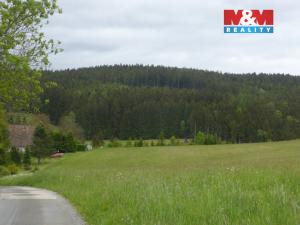 Prodej lesa, Vysoká Srbská, 26095 m2