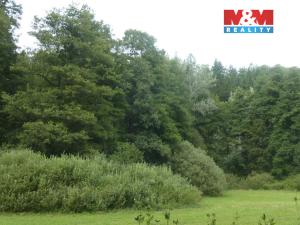 Prodej lesa, Vysoká Srbská, 26095 m2