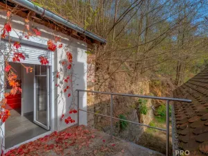 Prodej rodinného domu, Vranov nad Dyjí, Zadní Hamry, 123 m2