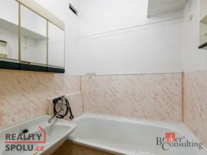 Prodej bytu 2+1, Plzeň - Východní Předměstí, Táborská, 54 m2