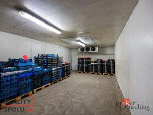 Prodej výrobních prostor, Kaznějov, Pod Továrnou, 6551 m2