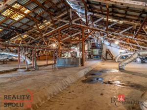 Prodej výrobních prostor, Kaznějov, Pod Továrnou, 6551 m2