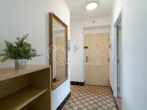 Pronájem bytu 2+1, Olomouc - Nová Ulice, tř. Míru, 50 m2