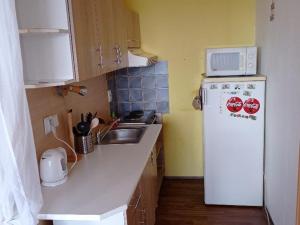 Prodej bytu 1+kk, Chlumec, Podzimní, 32 m2