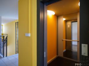 Pronájem bytu 2+kk, Olomouc - Nová Ulice, Na Tabulovém vrchu, 50 m2