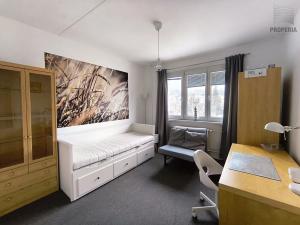 Pronájem bytu 1+kk, Brno, Veletržní, 19 m2